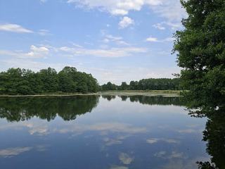 Hegefischen und Familienfest 2026 – Der Weiher am Röhrenmoos am frühen Morgen