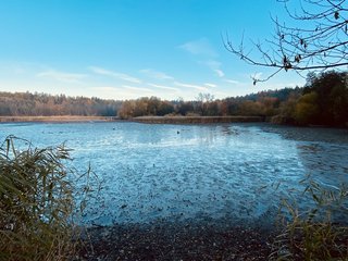 Hammerweiher