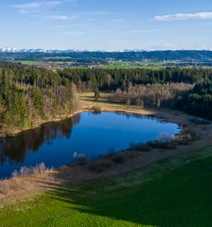 DJI_20240326165733_0129_D-HDR