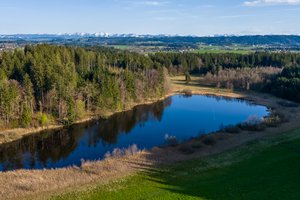 DJI_20240326165733_0129_D-HDR