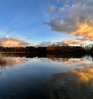 IMG_2665