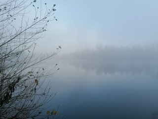 WhatsApp Image 2024-11-16 at 16.39.52