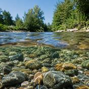 Kiesbett der Argen unter der Wasseroberfläche