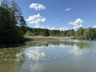 hammerweiher_1