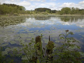 Herzogenweiher