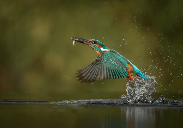 photo-1648625882326-27c46e36eefd