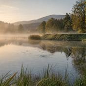 Weiher im Morgennebel mit Mönch und Graureiher